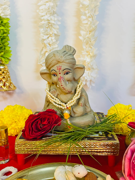 Eco-Friendly  Ganpati Ji