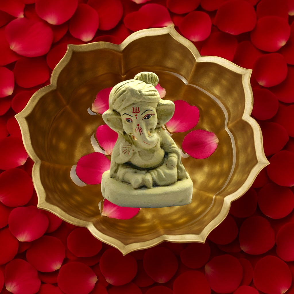 Eco-Friendly Ganpati Ji Pooja Box – Complete Ganesh Chaturthi Kit