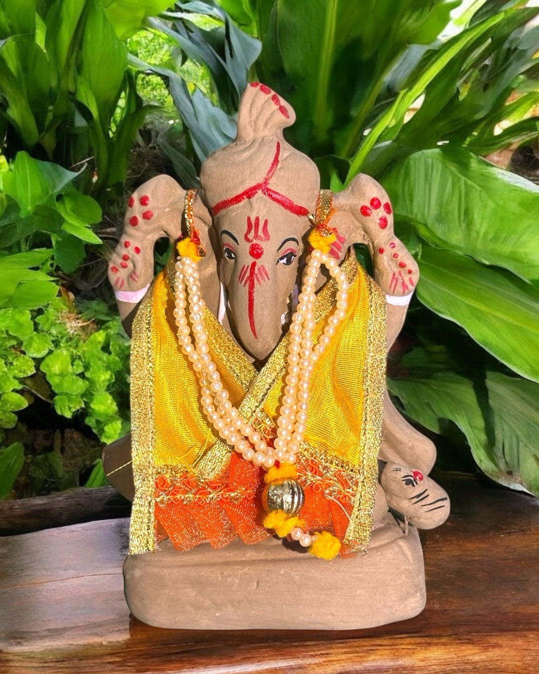 Eco-Friendly  Ganpati Ji